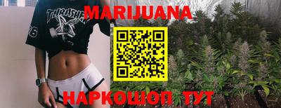 сатива Шахты