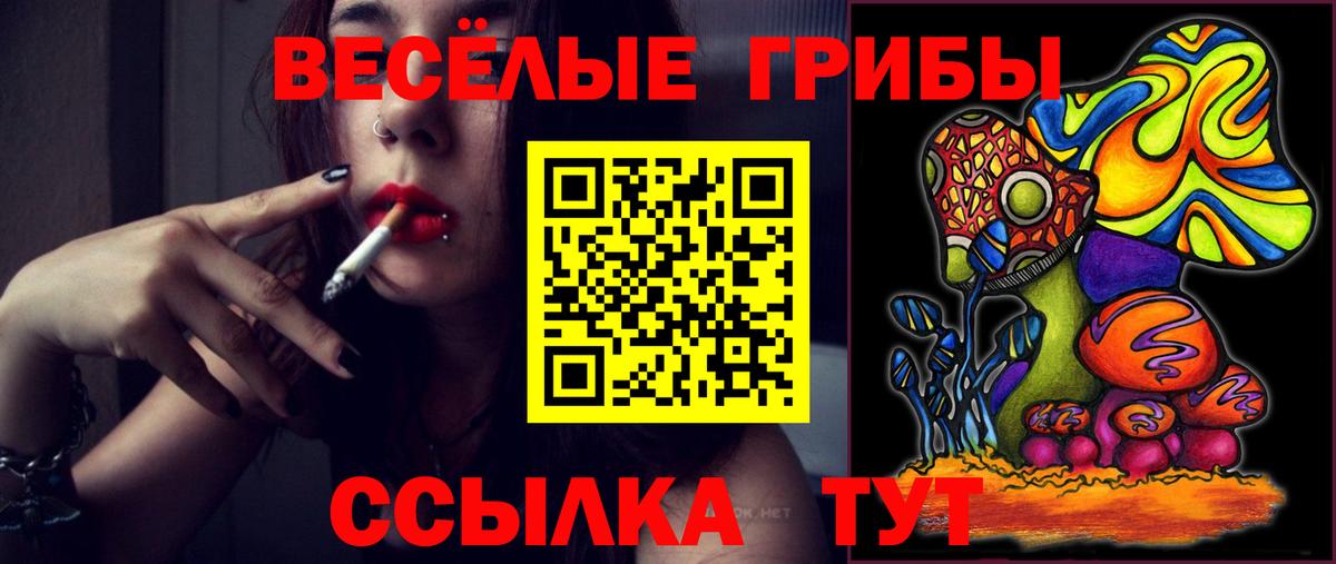 Котлас  Псилоцибиновые грибы MAGIC MUSHROOMS  Вход с VPN 