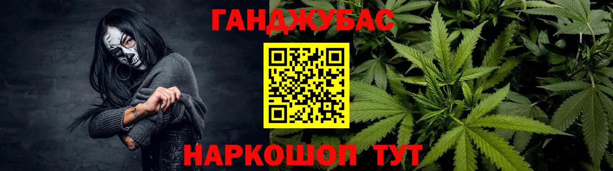 Бошки Шишки Котлас